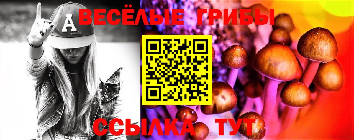 Псилоцибиновые грибы ЛСД Вичуга