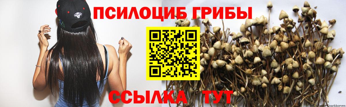 закладки  Псилоцибиновые грибы Psilocybe  Вичуга  Вход с VPN  Псилоцибиновые грибы Psilocybine cubensis 